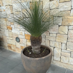 Lucie Testing Replicate Crop Function