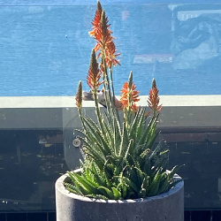 HEIC PHOTO TEST by Lucie