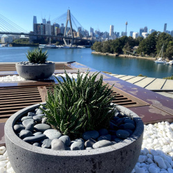 HEIC PHOTO TEST 2 by Lucie