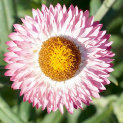 Test456