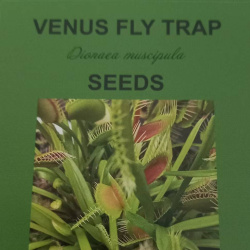 Venus Fly Trap Seed (typical, 100 Seeds Per Pkt)