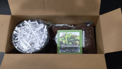 Venus Fly Trap Grow Kit