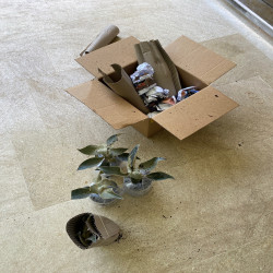 Test Product Lucie Replicate Dashboard Active