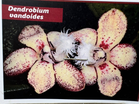 HEIC PHOTO TEST 2 by Lucie