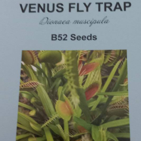 Venus Fly Trap Seeds - B52 (25 Seeds Per Pkt) 