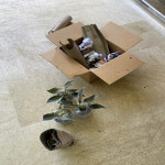 Test Product Lucie Replicate Dashboard Active